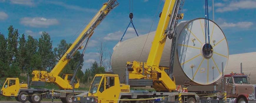 Domestic Pets Shifting